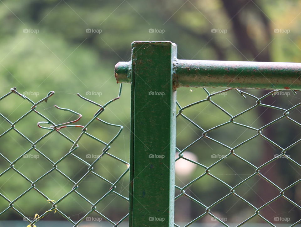 fence