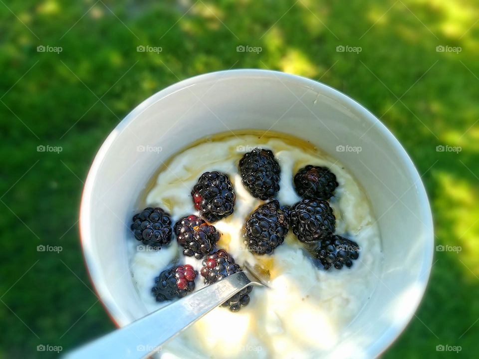 Blackberries, yoghurt and honey