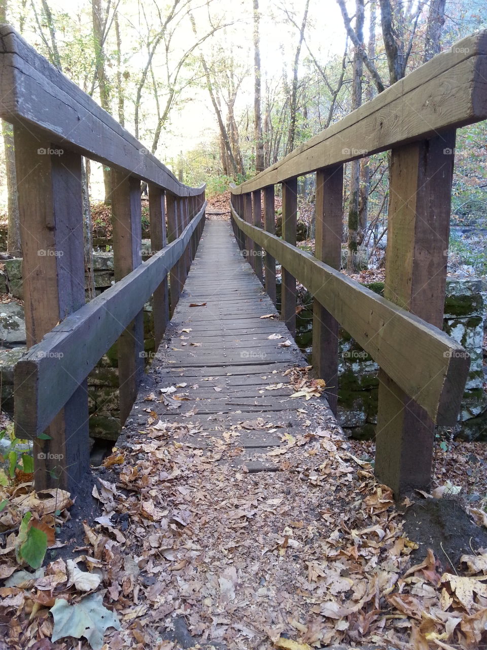 Walking bridge in the fall