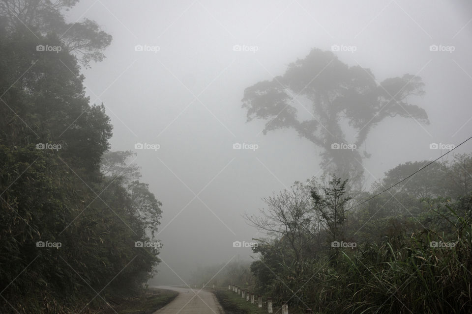 Foggy morning during our Vietnam roadtrip