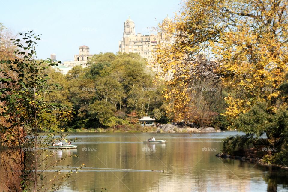 A Central Park View