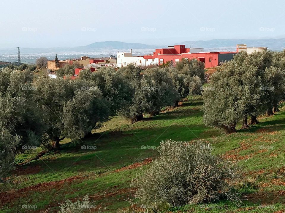 Population between the nature