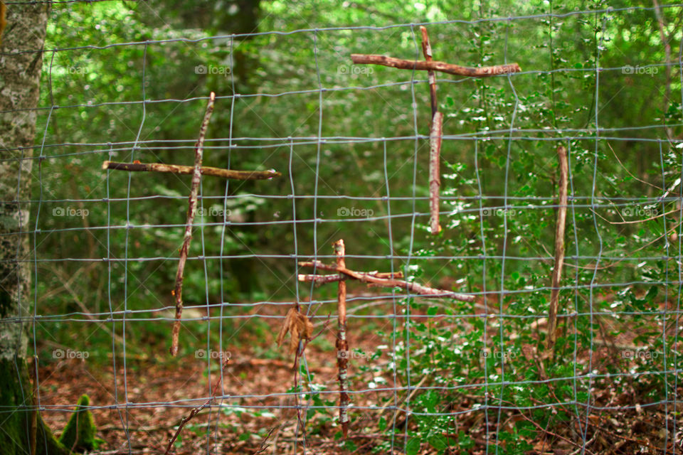 Exploring Camino Frances