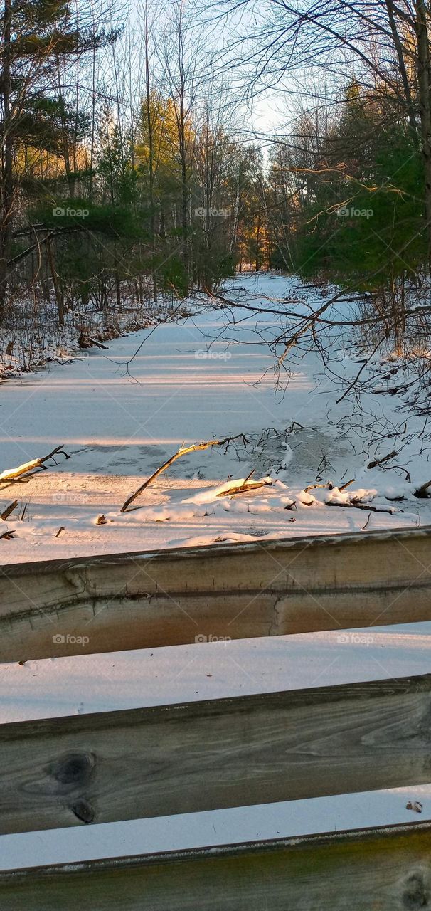 Sculpture Park Bridge