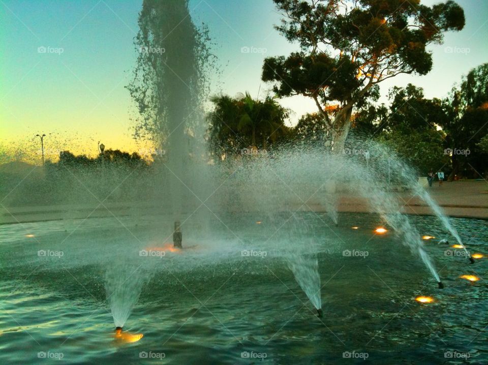 Fountain in Garden