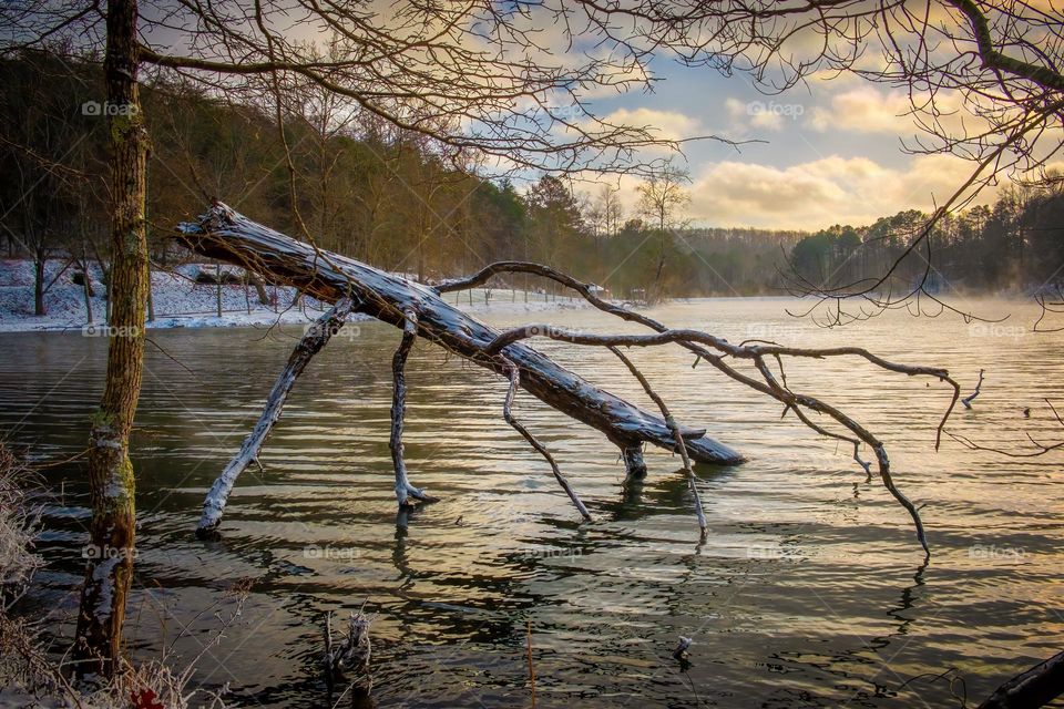 Punxsutawney Phil said more winter. So, here’s to more snow and ice. 