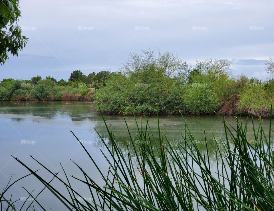 Cloudy Day at the Lake