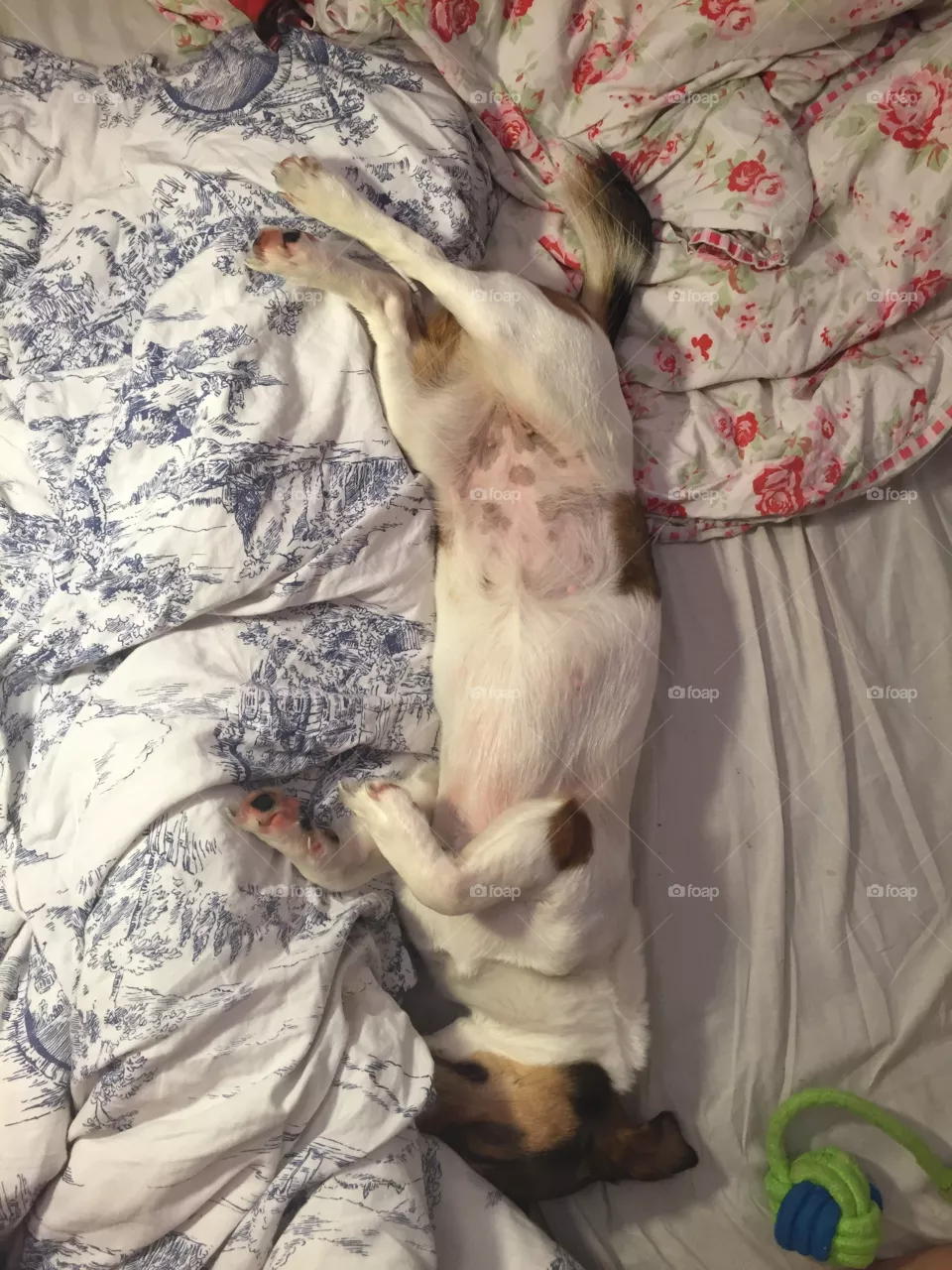 People, Bed, One, Bedroom, Adult