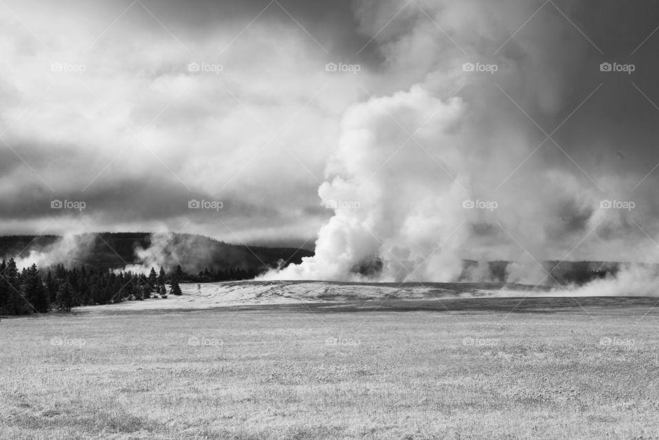 A early morning frost on the ground with steam from a geyser in the distance at Yellowstone National Park 