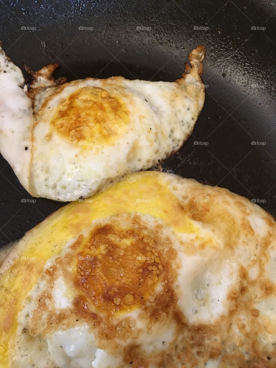 Fried Eggs 
