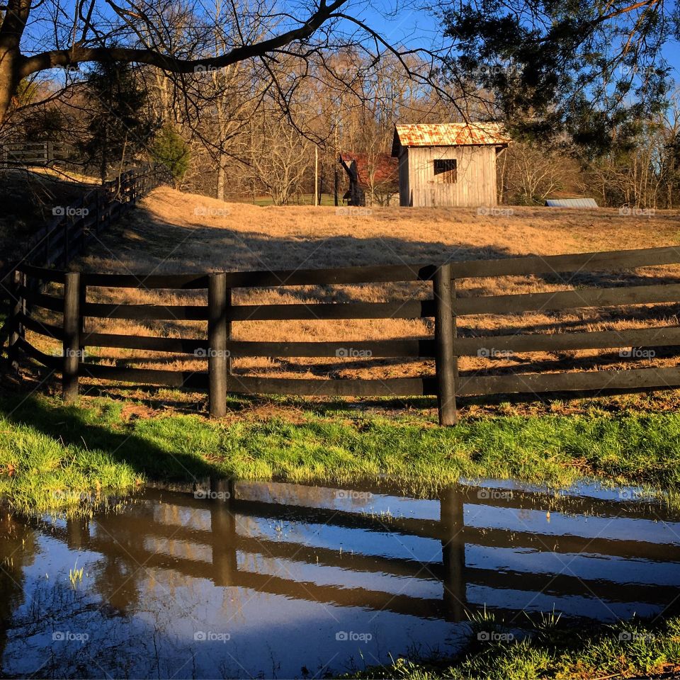 Fence reflecting