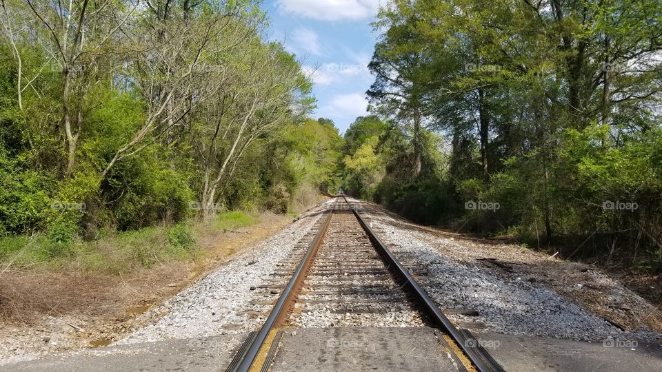 A Railroad in the country