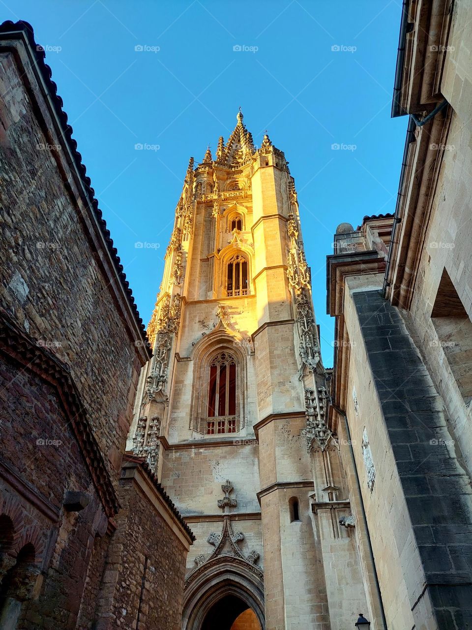Sun and shadow in the cathedral