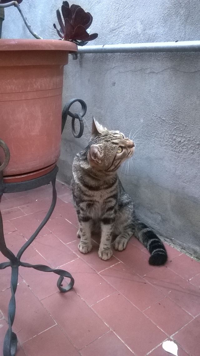 what's happening here?