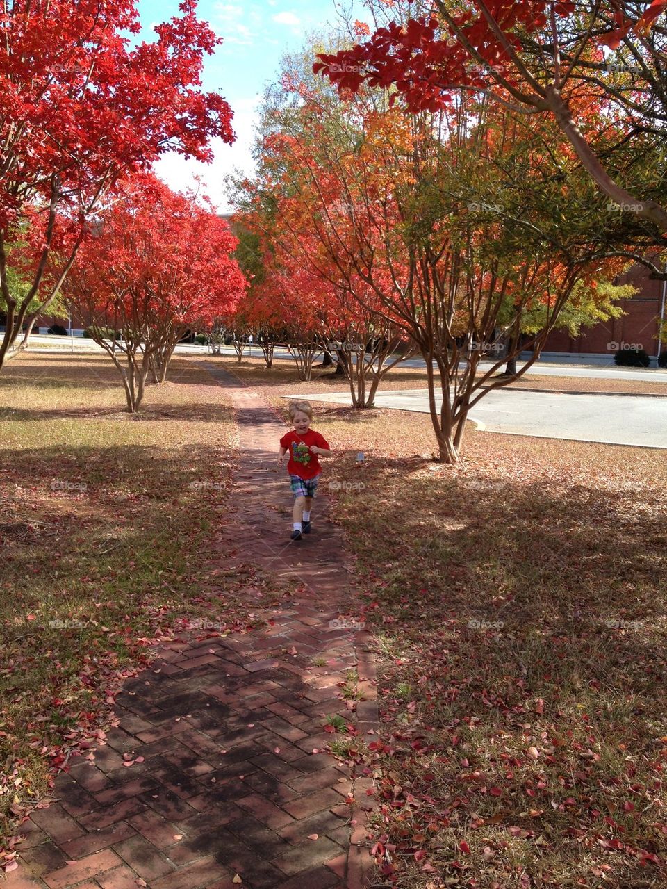 Running boy on fall path