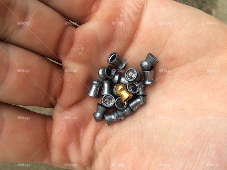 Pellets 5.5mm
