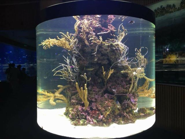 oceanografic