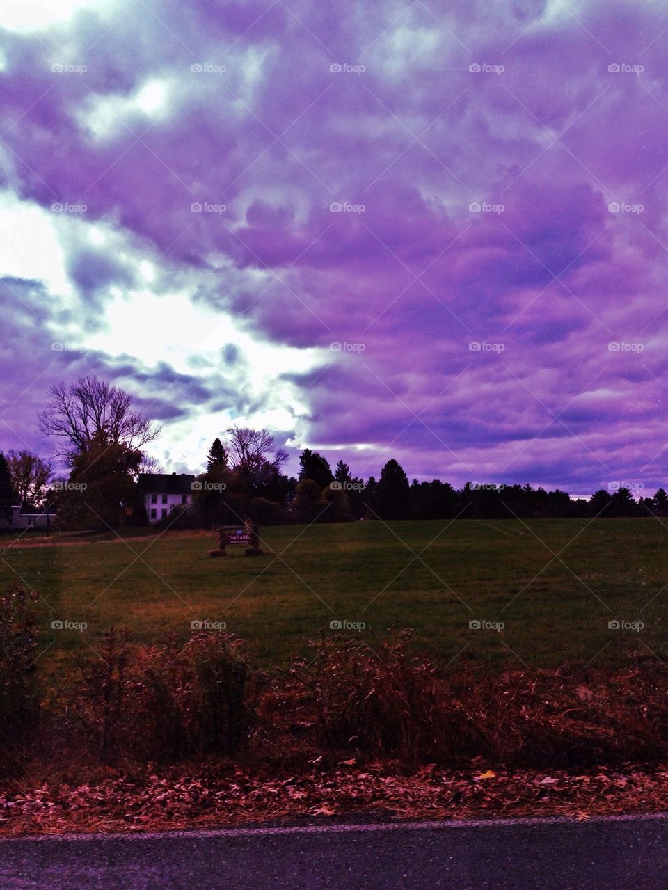 Purple Sky over Farmland