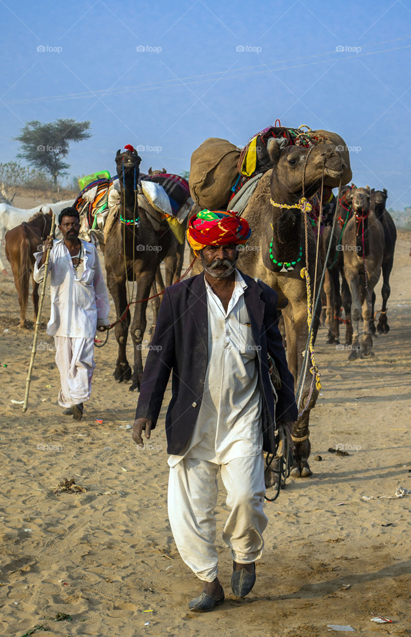 Camel seller in Pushkar, Rajasthan