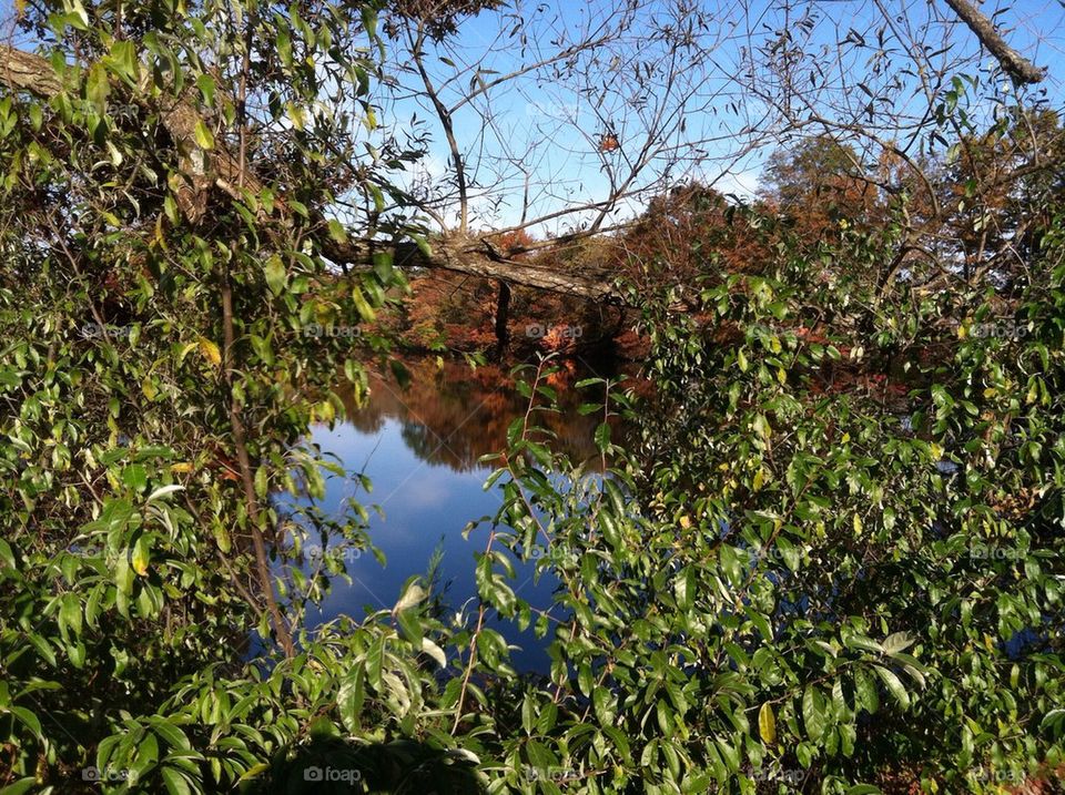 Horseshoe Lake