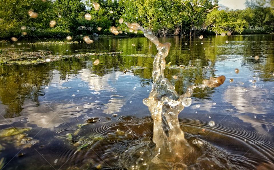 Big Splash on a Calm Pond with Cloud Reflactions