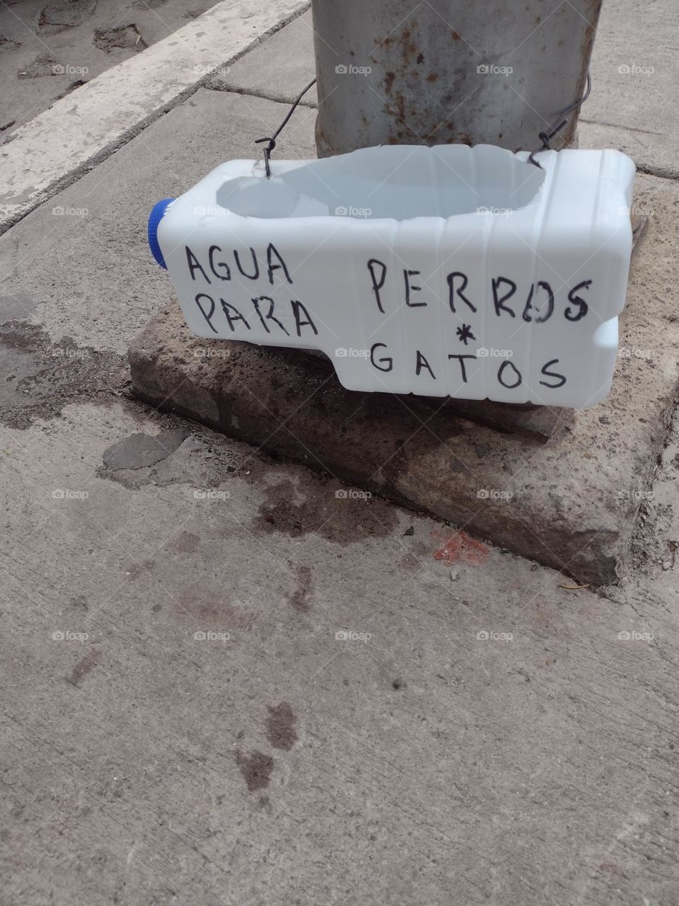agua para animales