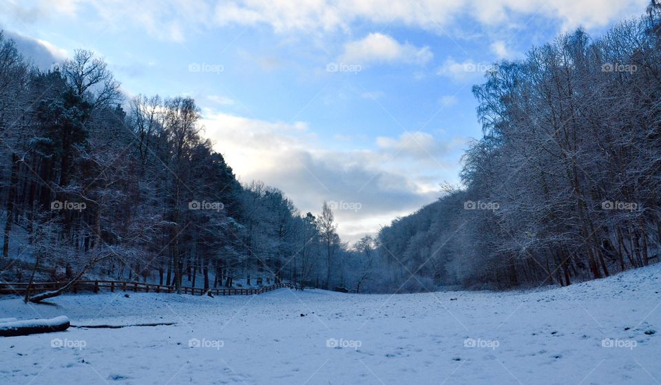 Snow, Winter, Cold, Frost, Landscape