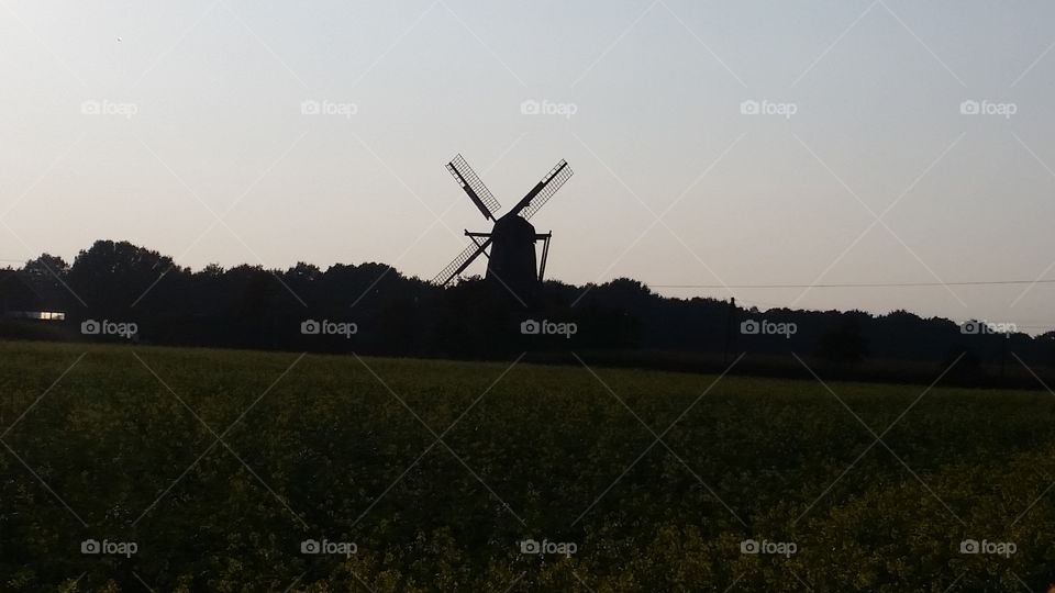 windmill