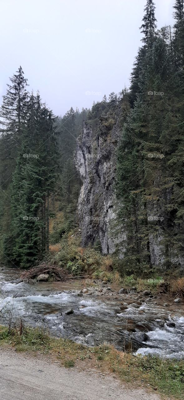 stream and the rocks in the mountains