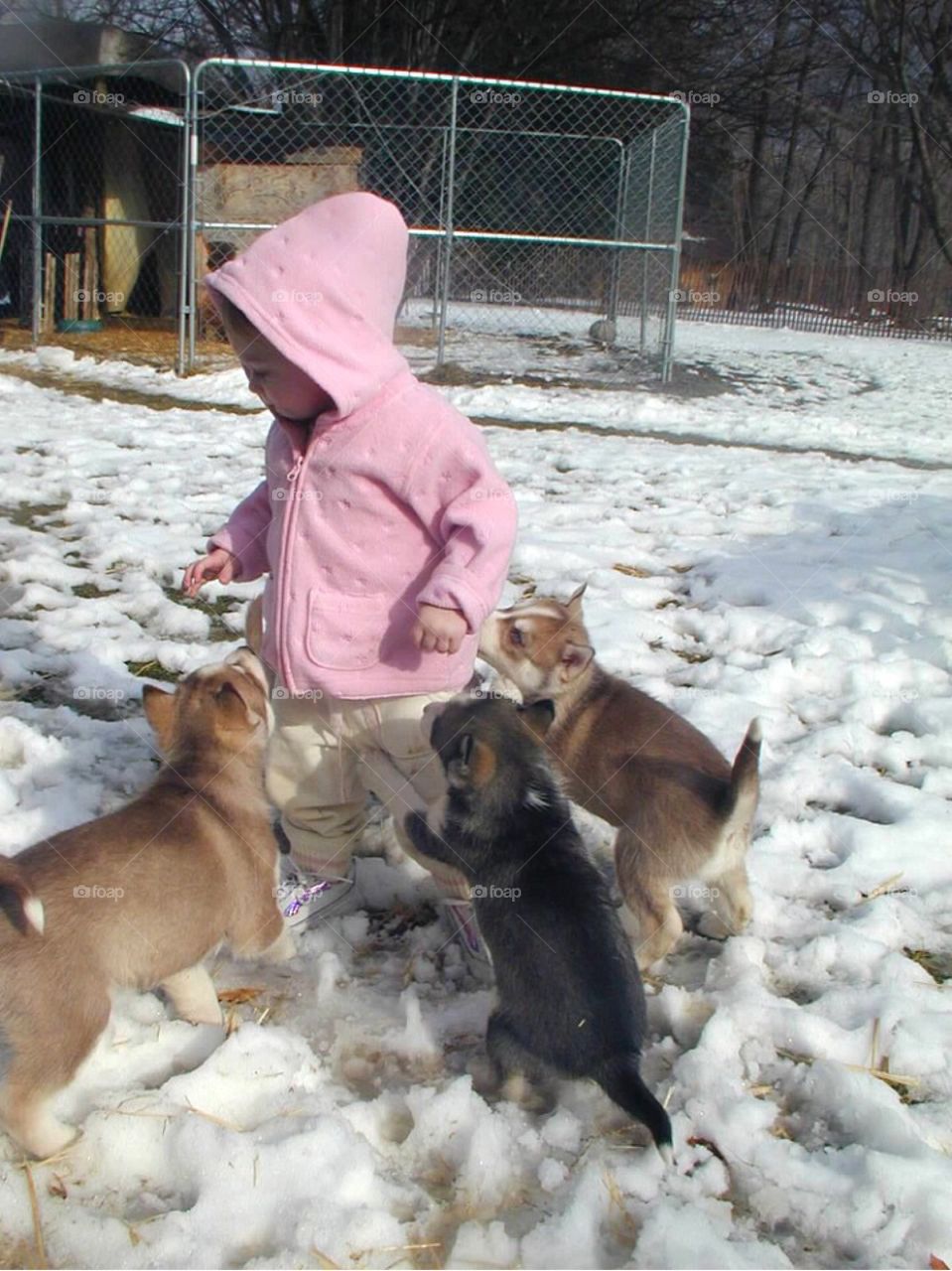 People, Child, Dog, One, Portrait