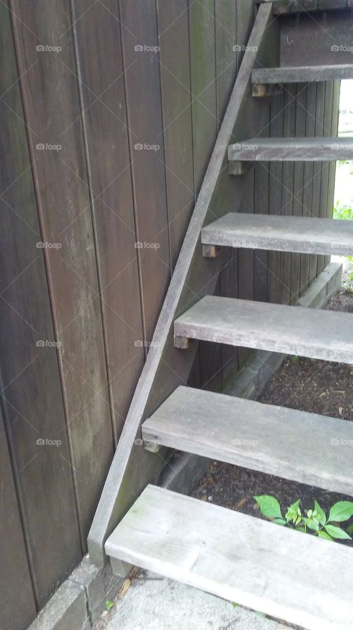 Step, No Person, Architecture, Wood, Empty