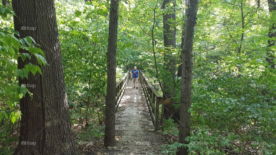 a bridge along the footpath that connects to the bike trail
