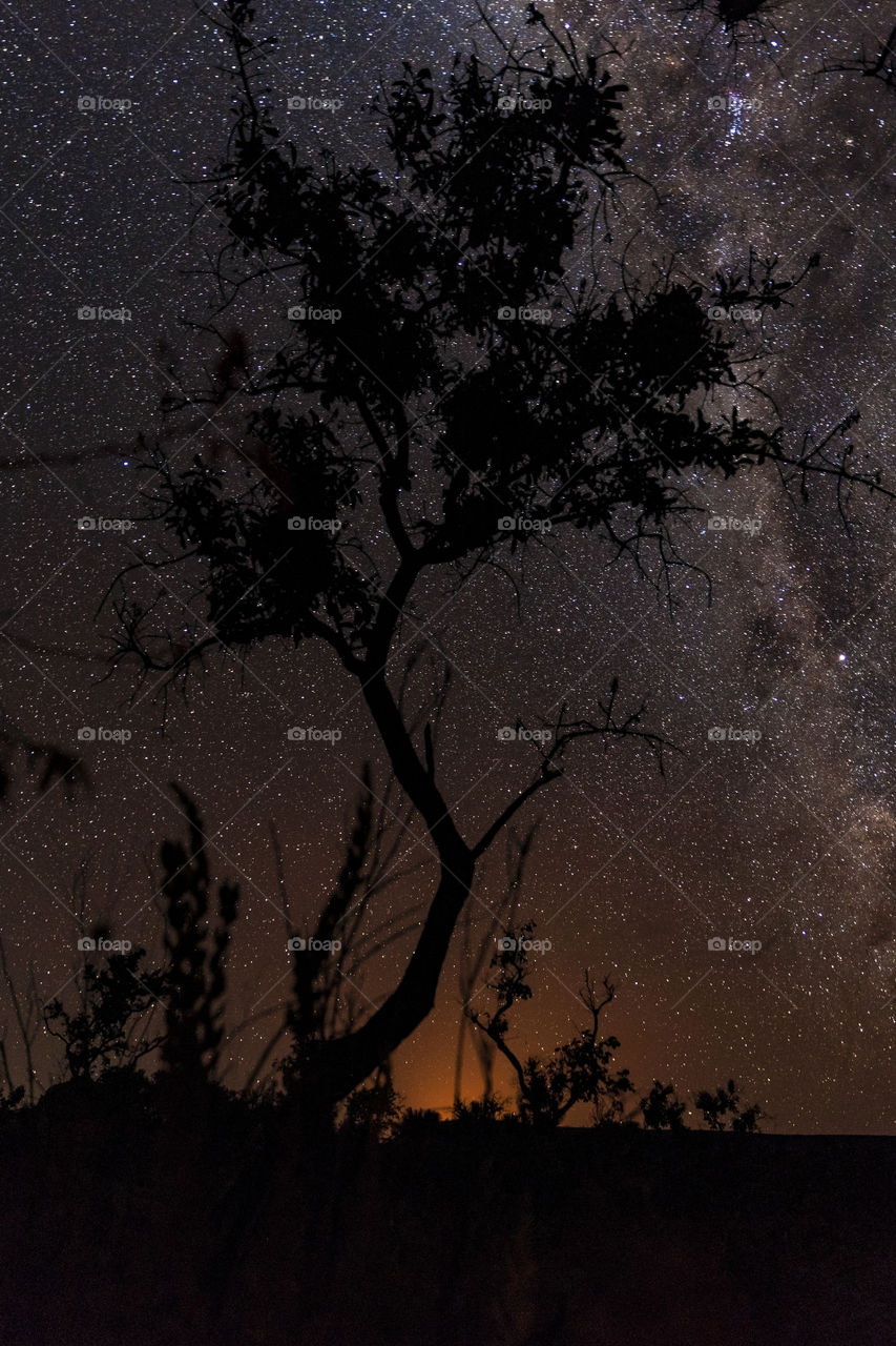 Starry night in Jalapao State Park.