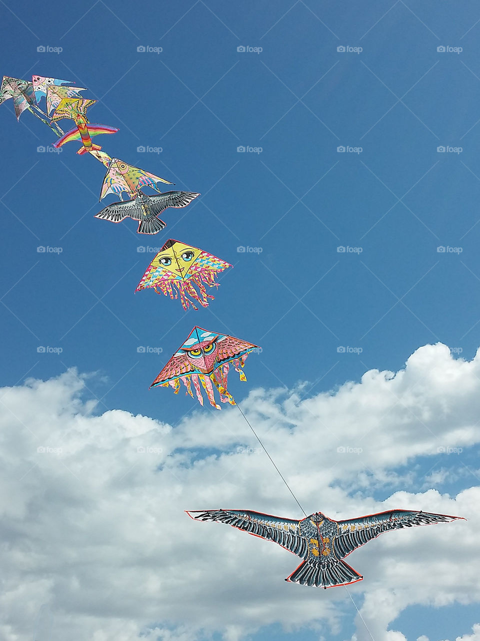 kites in line