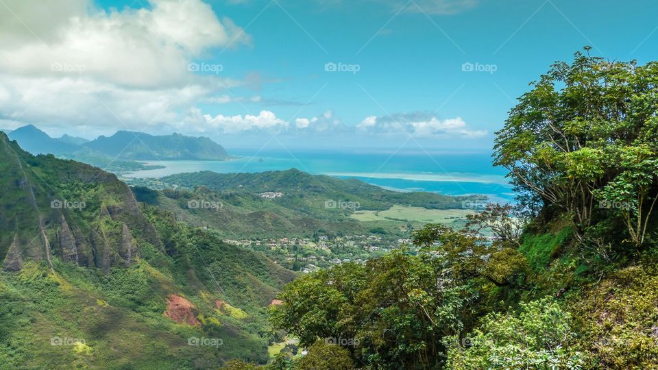 Tropical island valley view