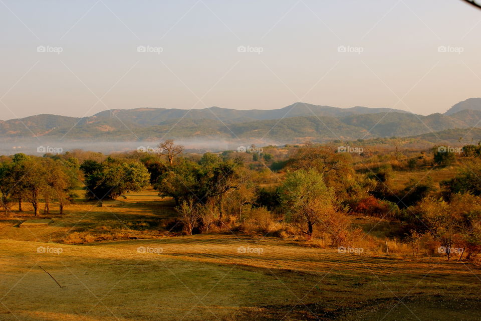 View of a grassy landscape