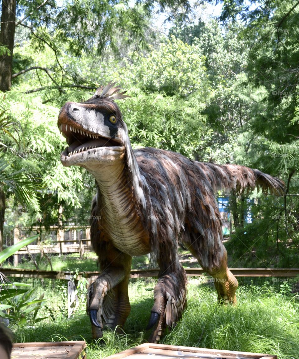Dinosaur in natural surroundings at the zoo