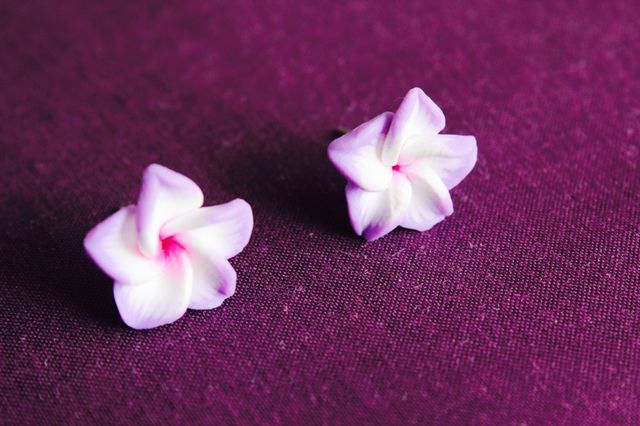 Close-up of flowers