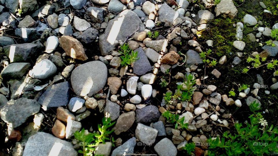 Decorative stones garden