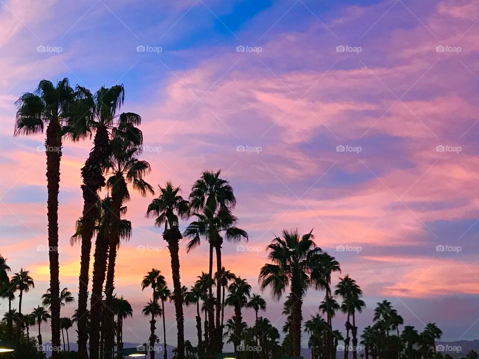 Sunset in Palm Desert