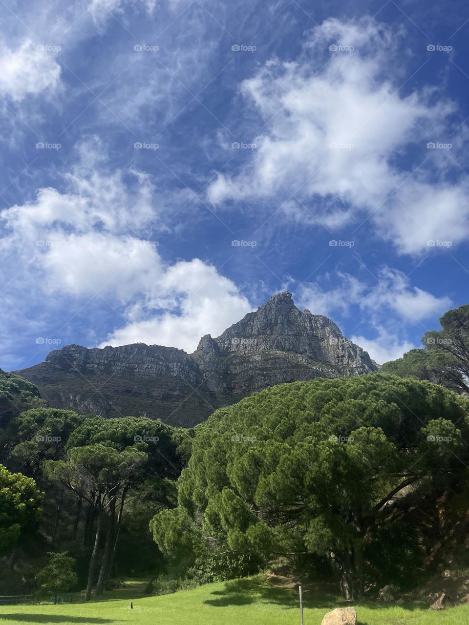 Where the heart wanders, nature speaks wonders🙌🏻