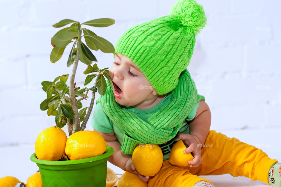 edible lemon tree