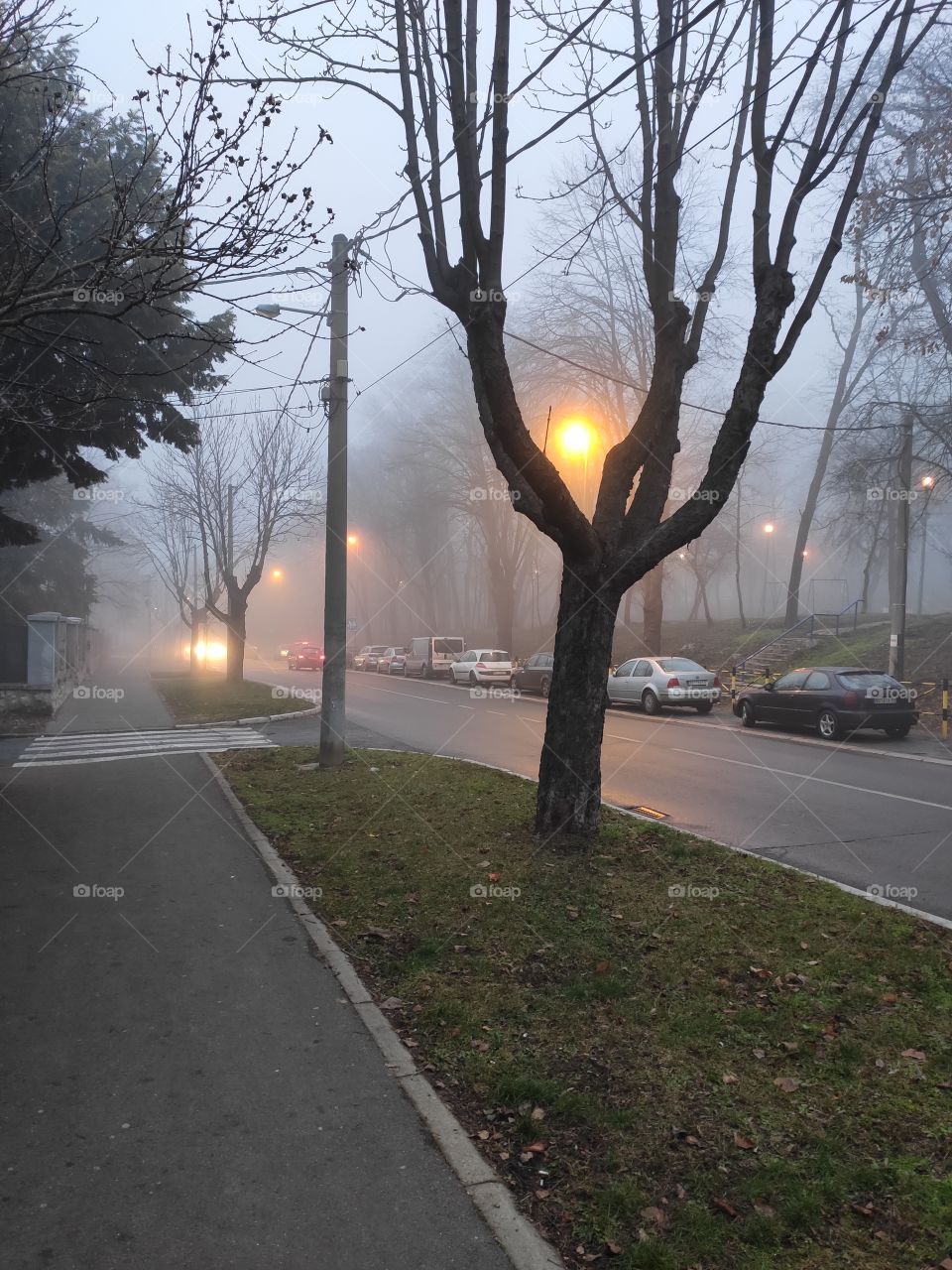 Belgrade Serbia winter scenery fog on the  street