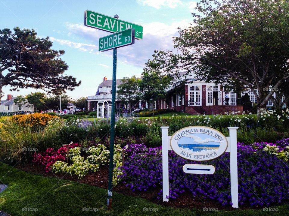 Seaview & Shore
