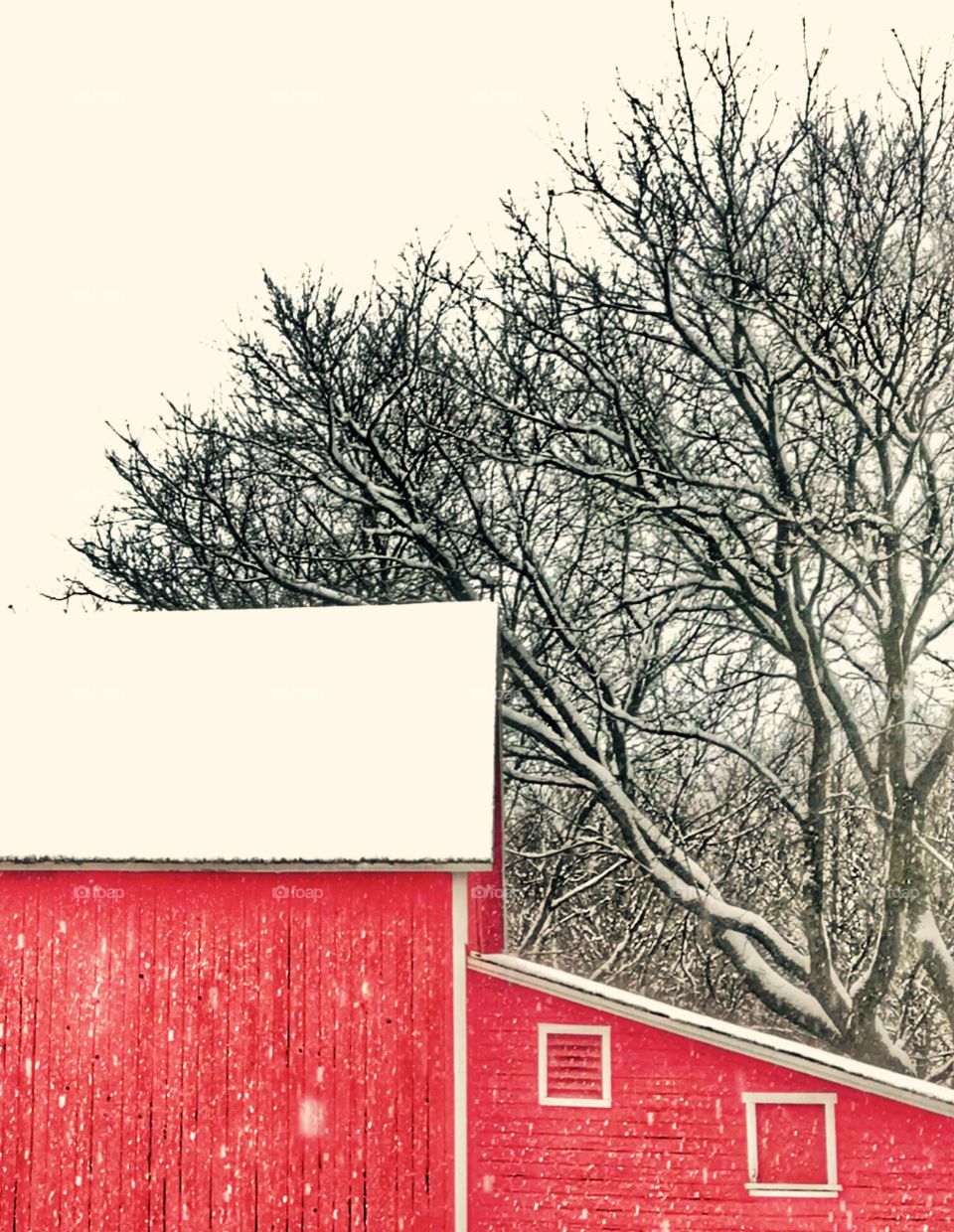 Winter barn