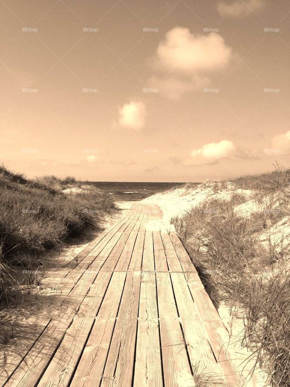 A long, lovely walk to the sea