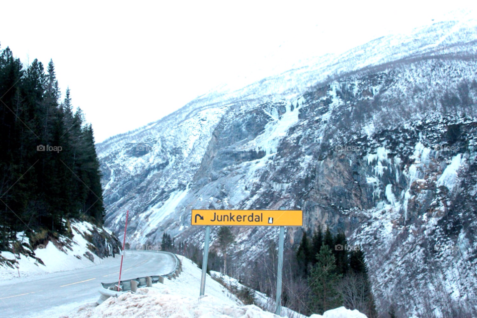 snow winter mountain tree by Iphonepic