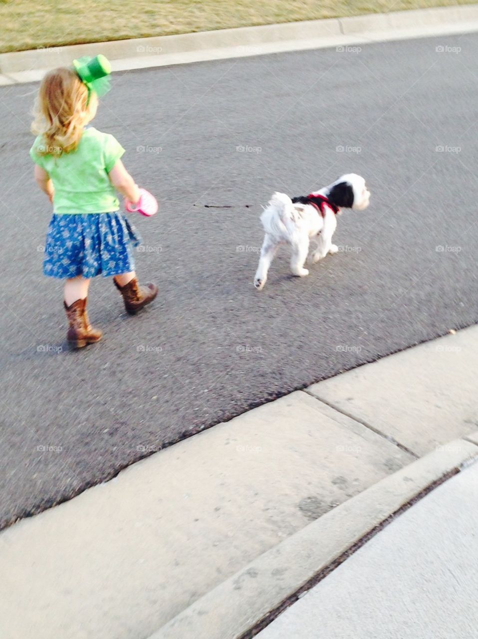 A Girl's Best Friend . Little lady walking her dog