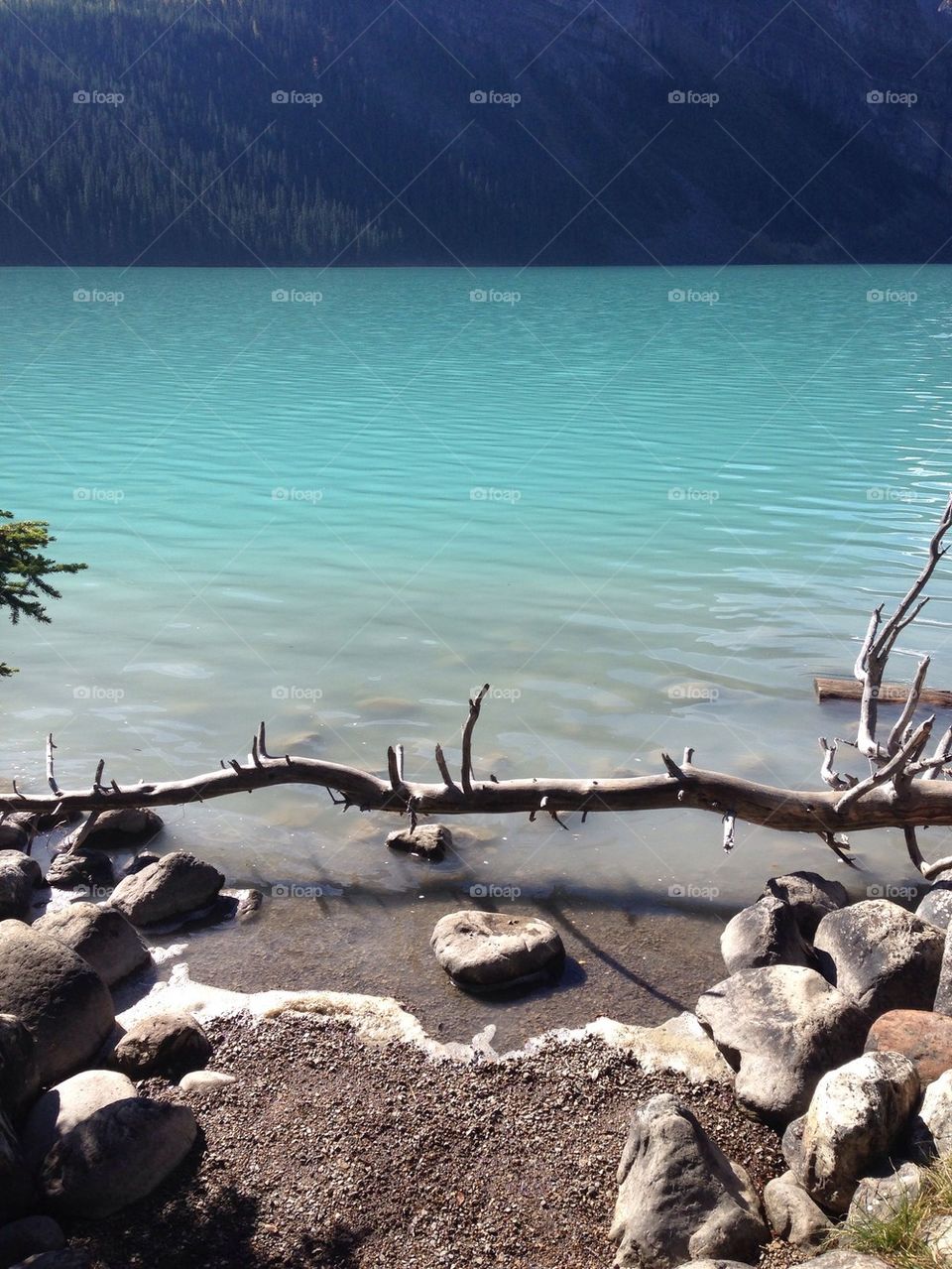Lake Louise water