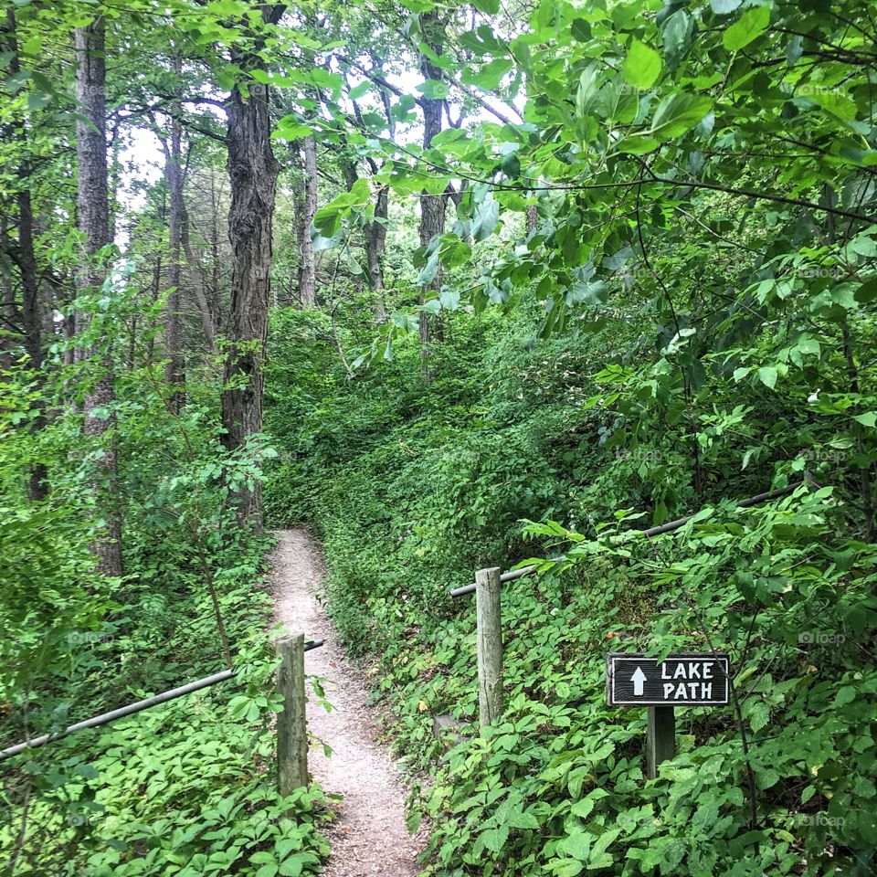 Last day in Wisconsin...who wants to go for a run? 